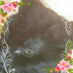 Meet your Posher, Sandy